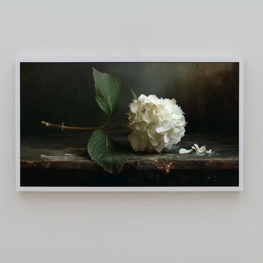 Frame TV Art → Vintage White Hydrangea Still Life